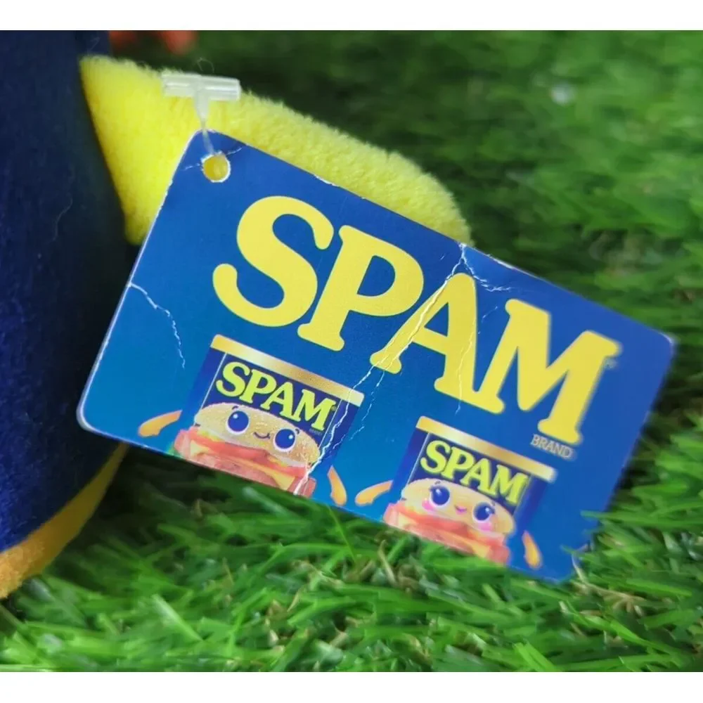 NWT Fiesta Spam Boy 8